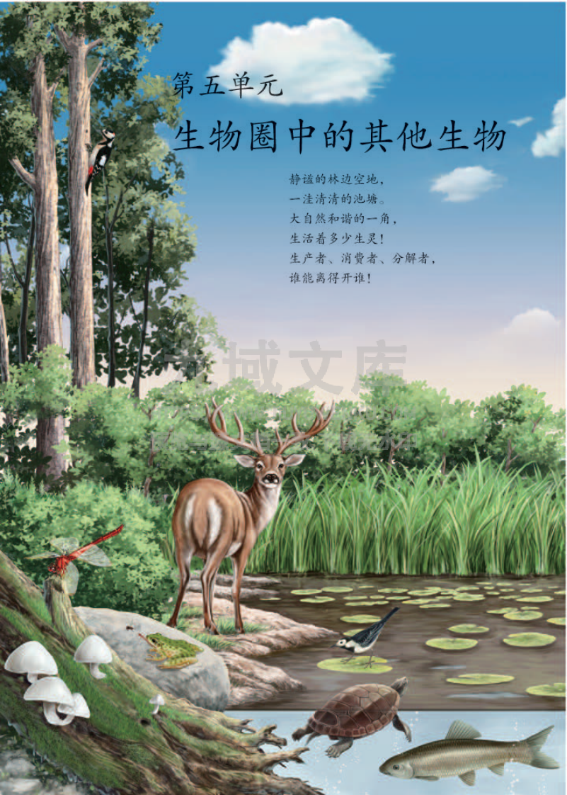 人教版8年级生物上册【高清教材】 第5页
