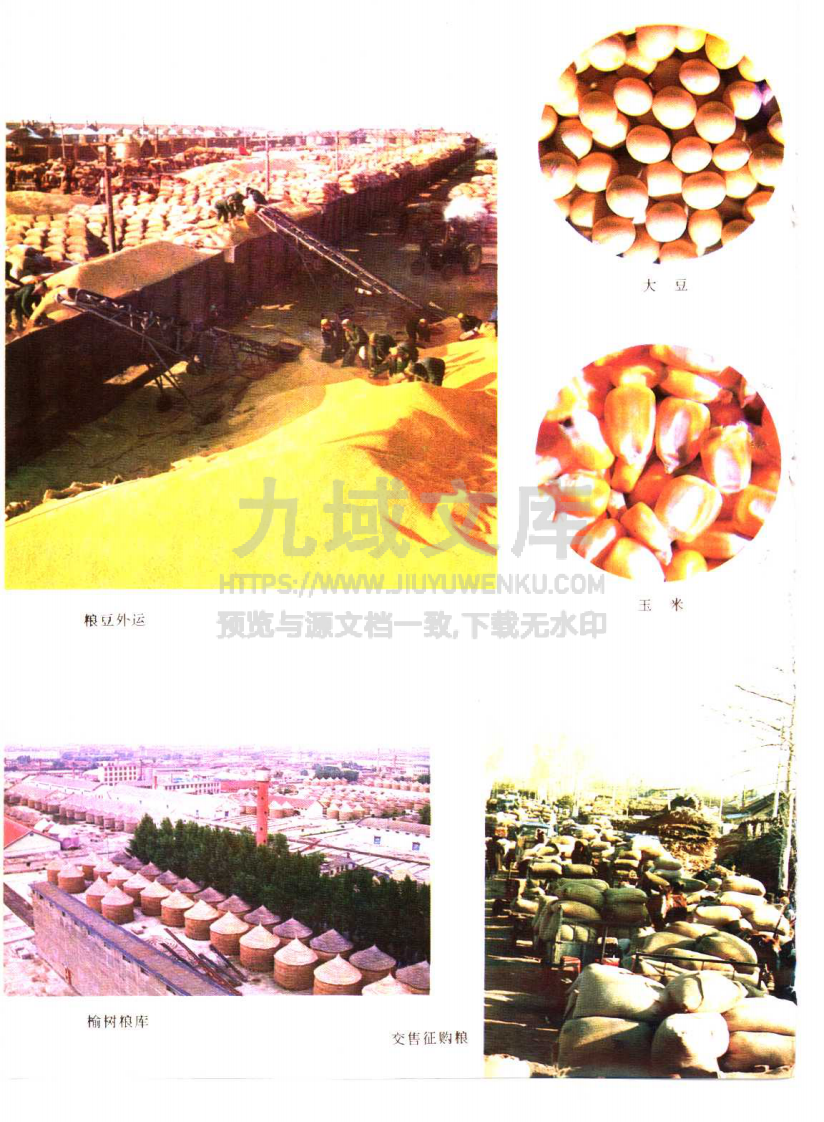 吉林榆树县志（1993） 第4页