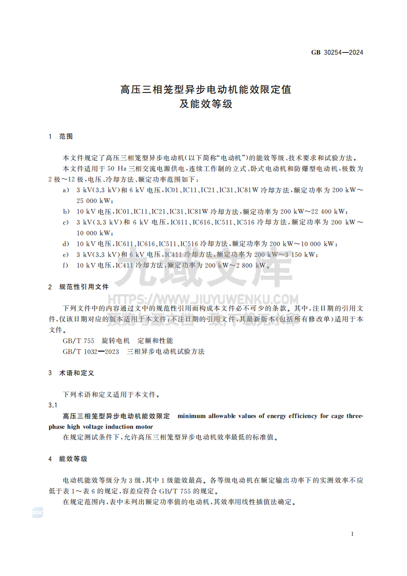 GB30254-2024高压三相笼型异步电动机能效限定值及能效等级 第5页